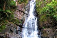 El Yunque Rainforest & Luquillo Beach